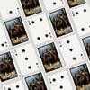 Lantern Press Missoula, Montana, Grizzly Bear, Scratchboard (52 Playing Cards,