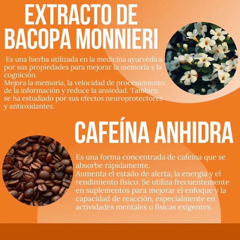 Suplemento Natural Focus 90 Cápsulas Para La Concentración