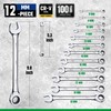 SK Ratcheting Wrench Set, Combination Wrench Set, 12-Piece, Metric 8