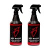Boat Bling Hot Sauce Premium Hard Water Spot Remover w/High-Gloss