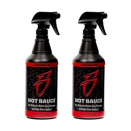 Boat Bling Hot Sauce Premium Hard Water Spot Remover w/High-Gloss Wax Sealants, 32 oz. - 2 Pack
