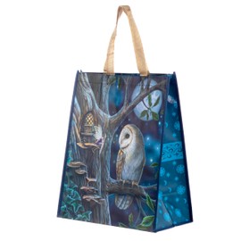Puckator Lisa Parker Fairy Tales Owl and Fairy Reusable Shopping Bag - Shoulder Bags -Big Foldaway Handbags for Women - Canvas Tote Bags for Women - Hand Bag - Large Ladies Bags - Aesthetic Stuff