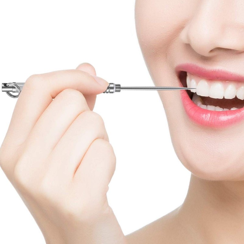 Healifty Titanium Toothpick Metal Fruit Fork Tooth Pick Integrated Tooth