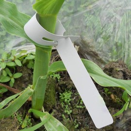 200Pcs Plant Labels Wrap Around Tree Tags, Adjustable Nursery Garden Labels Plant Tags with Large Writing Surface, White