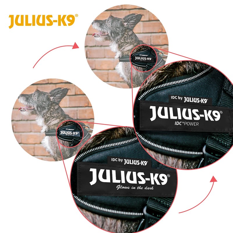 Julius-K9, 16IDC-B-MM, IDC Powerharness, Dog Harness, Size: Mini-Mini, Blue