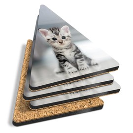 4 x Triangle Coasters - Grey Tabby Bengal Pet Kitten Animals Cork Backed MDF Glossy Tea Coffee Accessory #8433