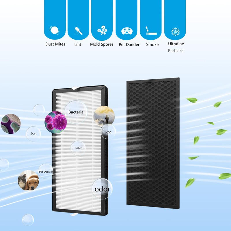 XD6065 Activated Carbon & XD6075 True HEPA Replacement Filter, Compatible