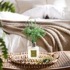 Airkeep Reed Diffuser Set,3.38 fl oz (100 ml) - Bamboo