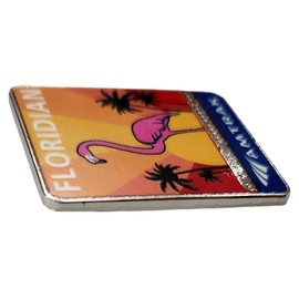 Amtrak Floridian Route Collector Edition Enameled Lapel Hat Pin Multi