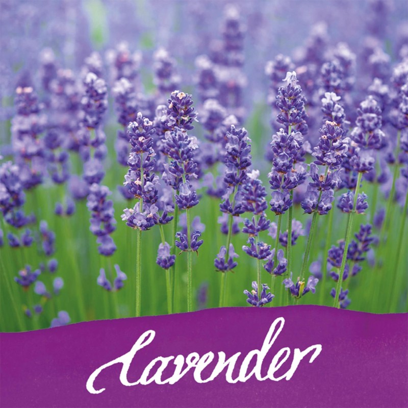 Online 17064/3 Ink of The Senses Lavender, Ink Colour Lilac,
