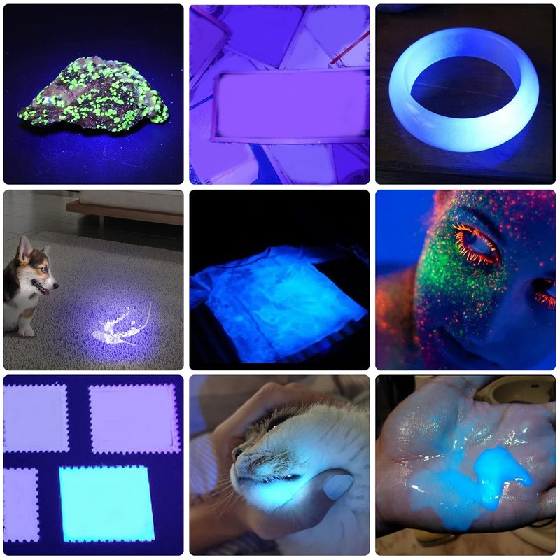 365nm Black Light UV Flashlight Handheld LED Blacklight Flashlight for