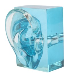 Right Ear Display Model Acrylic Blue Transparent Waterproof Fake Ear Model Displays for Sound Aids