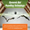 BugWomp-BEU Bat Expulsion Unit – Dynamic Ultrasonic Bat Repellent (Midnight
