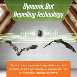 BugWomp-BEU Bat Expulsion Unit – Dynamic Ultrasonic Bat Repellent (Midnight Black Edition)
