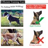 Kletloop Dog Prong Traing Collar - Choke Pinch Collar [2