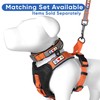 Pawtitas Pet Accessories Adjustable Padded Reflective Dog Harness, Step in
