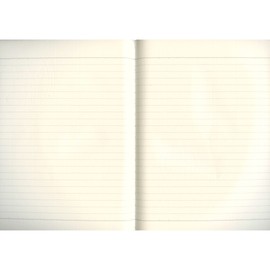 Swallow A5 Notebook h40s