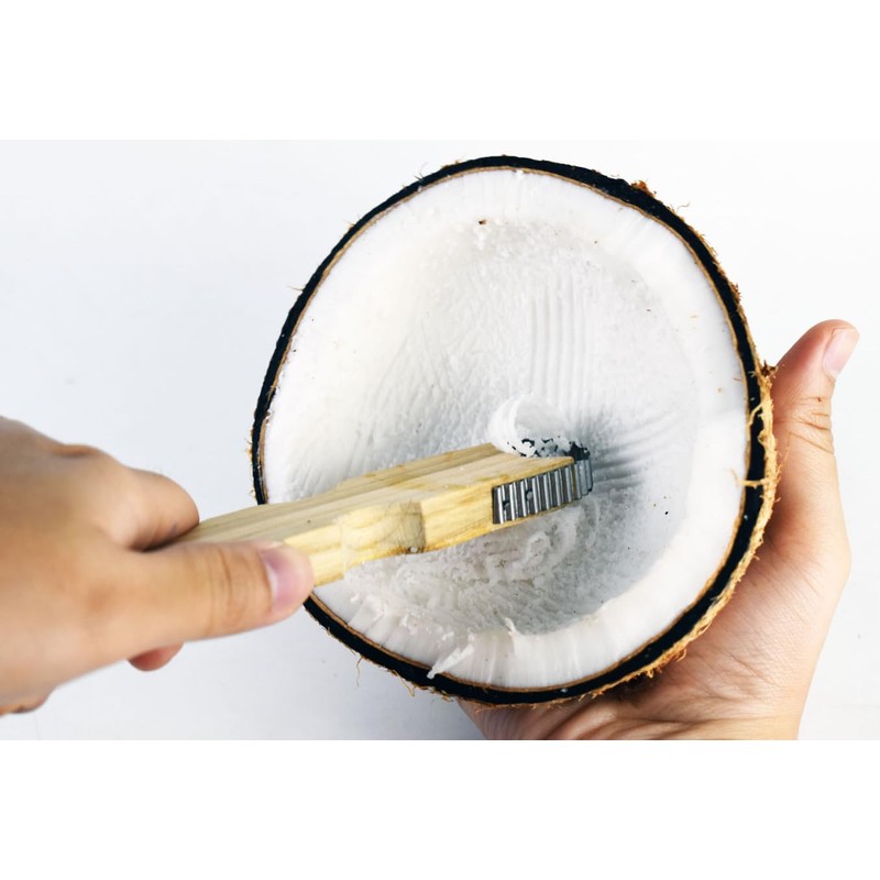 XL Size Wooden Handle Coconut Grater - Durable Sharp Stainless