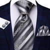 Hi-Tie 3 Pcs Gift Box Mens Tie Set Necktie with