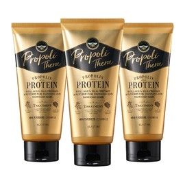 Elastine Propoliterra Damaged Hair Treatment 300ml / 엘라스틴 프로폴리테라 손상 모발용 트리트먼트 300ml X 3개
