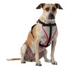 Nathan Dog Harness. Teaching Attachment/No Pull/Reflective/Lift Handle. for Running or