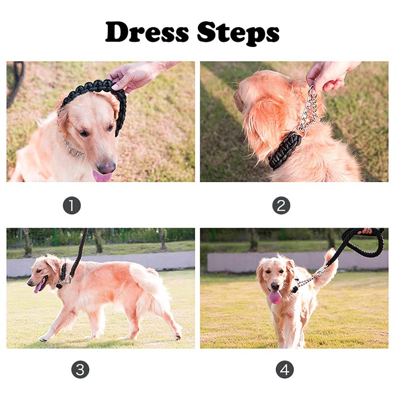 Love Dream Dog Collar and Leash Set, Heavy Duty Nylon