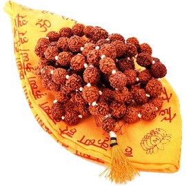 2 piezas X Rudraksha Mala Collar 0.354 in ~ Natural Auténtico Certificado Rudraksha Semillas de Oración Pulsera Mala Wrap Pulsera 5 caras Adornos Religiosos Genuinos Rosario Japa Mala Importado de Nepal 5 mukhi