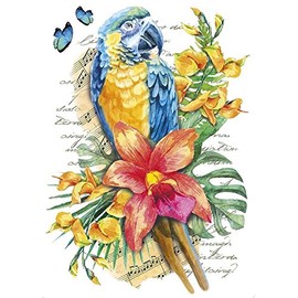 Colour Iron-On Transfer, DIN A4, Filigree without Background, Tropical Animals, Decorating Textiles such as T-Shirts & Bags with Iron-on Motifs, Iron on Transfer Pictures, DIY Textile Design (Parrot)