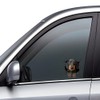Dachshund 3D Ripped Effect Car Sticker, Funny Dog Decorative Sticker