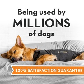 Thundershirt ThunderShirt for Dogs, Small, Heather Gray Classic - Dog Anxiety Relief Calming Vest