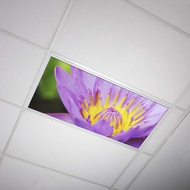 OCTO LIGHTS Fluorescent Light Covers for Ceiling Lights Classroom 2x4 (22.38in X 46.5in) Improve Focus, Eliminate Headaches, Provide Florescent Light Relief - Flower 003