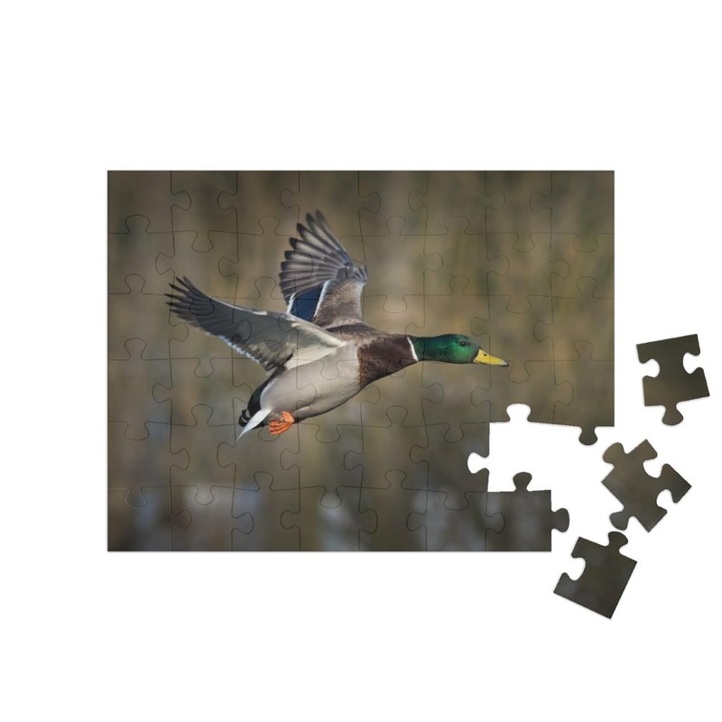 puzzleYOU: Jigsaw Puzzle 48 Piece Mallard in Flight - Ducks