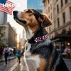 Hikiko American Flag Martingale Collar with Buckle Adjustable Soft Nylon