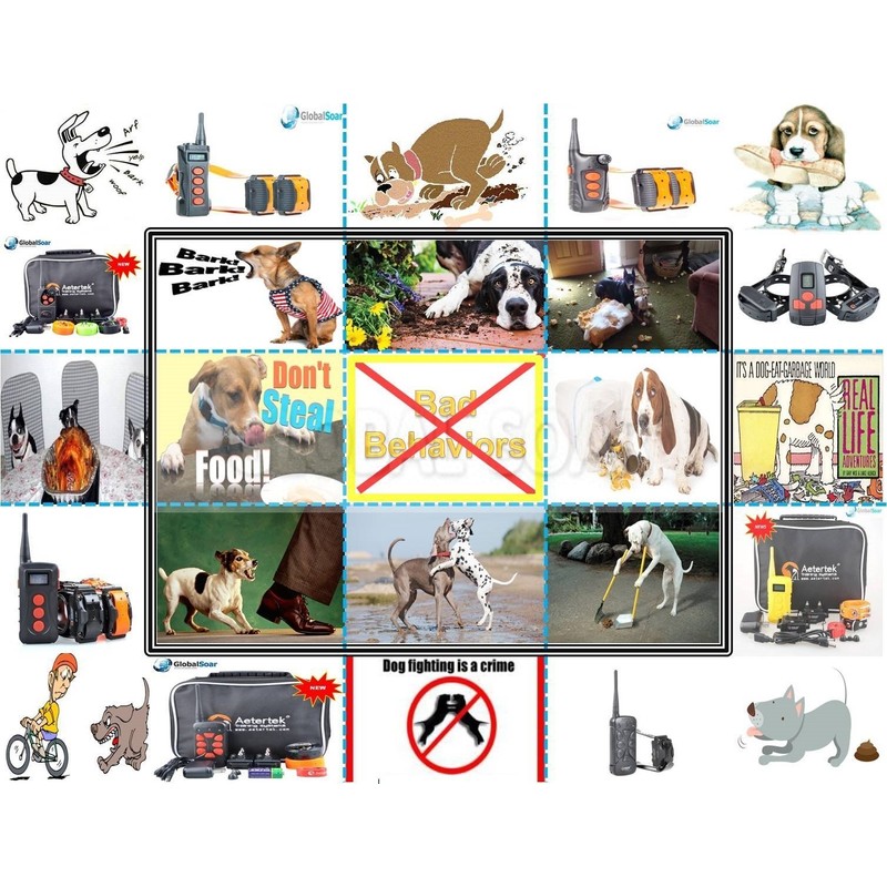 Aetertek 919C-2 1100 Yard 10 Level 2 Dog Training Anti