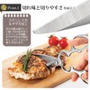 Pro Grade Made in Japan All-Stainless Scissors Detachable PG-411