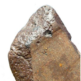 SCIENCE Ghubara Meteorite Ghubara Meteorite "Ghubara Meteorite, Approx. 0.04 - 0.06 oz (1.0 - 1.5 g), 1954 Origin: AI Wusta, Oman Oman" Original Specimen Case Ordinary Chondrite (L5)