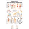 Ruediger Anatomie MIPO68LAM Streching I Board, 24 cm x 34