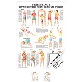 Ruediger Anatomie MIPO68LAM Streching I Board, 24 cm x 34 cm, Laminated