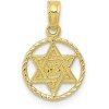 Unbranded 10k Yellow Gold Star of David in Circle Frame