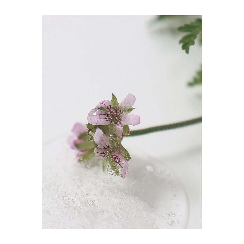 Soothe Release Cotton Mask 30g x 5ea / 수더 릴리즈