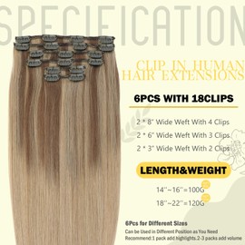 SAFIRENY Clip in Hair Extensions Human Hair,Balayage Ash Brown To Caramel Blonde,Hair Extensions Clip In 20 Inch 120grams 6pcs Per Set With 18 Clips(#10/27/27,20")
