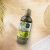 EYÜP Sabri TUNCER Olive Oil Hand & Body Lotion 250
