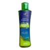 Shampoo De Romero Con Cafeina 500ml Anticaida Crecimiento
