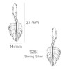 SOFIA MILANI - Women's Earrings 925 Silver - Leaf Earrings,