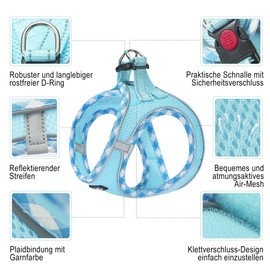 haapaw Dog Harness and Lead Set, No Pull Adjustable Reflective Step-in Puppy Harness with Thick Padded Vest for Extra Small/Small Medium Dogs