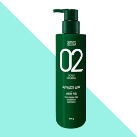 Amos Professional Green Tea Realistic Shampoo Oily Scalp Refreshing Type 500gX1 / 아모스 프로페셔널 녹차실감 샴푸 지성 두피 산뜻한타입 500gX1개