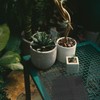 AEDOVE 15 Pack Flower Pot Hole Mesh Pad, 11.8 *