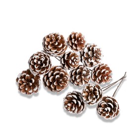 Lescli 24 Pack Natural Snow Pine Cone Picks with 8 Inch Bendable Floral Picks for Christmas Tree Decoration, Front Door Wreaths, Candle Rings, DIY Crafts, Holiday, Wedding, Party, Home Decor