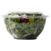 32oz Salad Bowls To-Go with Lids (300 Count) - Clear