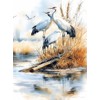CALVENDO Puzzle Cranes | Size